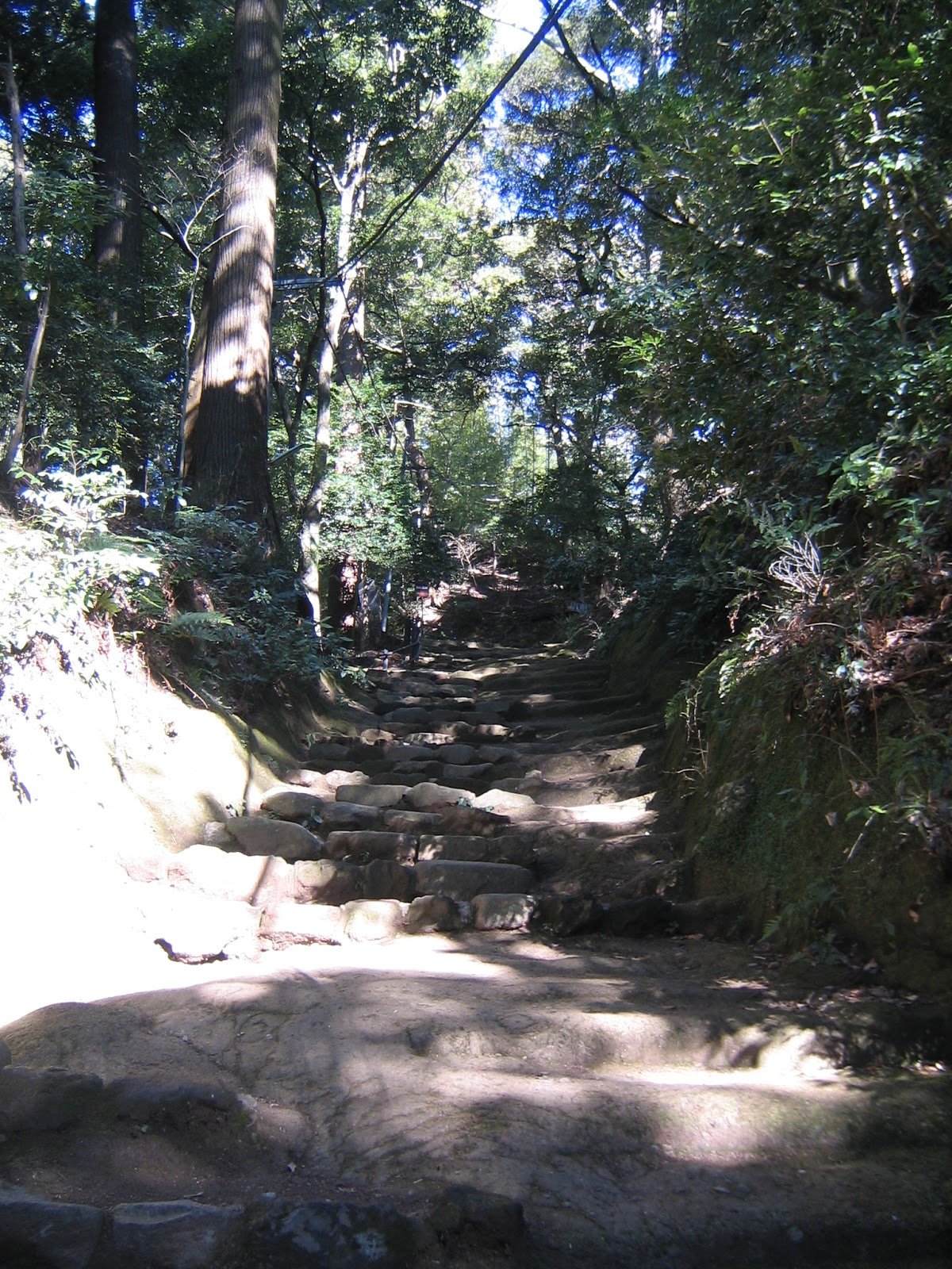 🏯 히나타 약사(히나타 야쿠시) 이미지 5